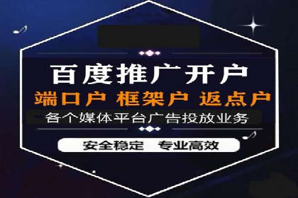 某品牌通过SEM关键词实现品牌推广的实战案例